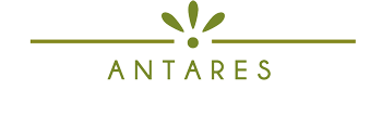 Antares Arte Floral